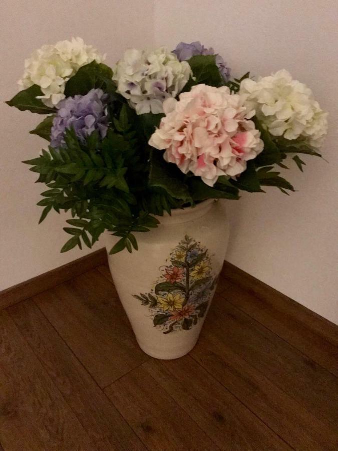 Casa Otto Sighisoara公寓 外观 照片