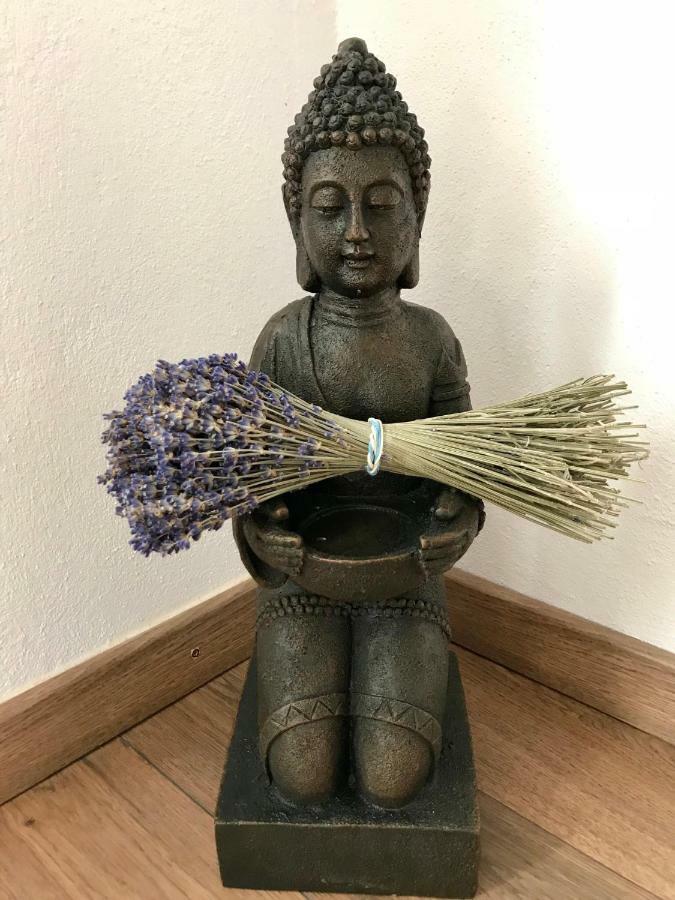 Casa Otto Sighisoara公寓 外观 照片