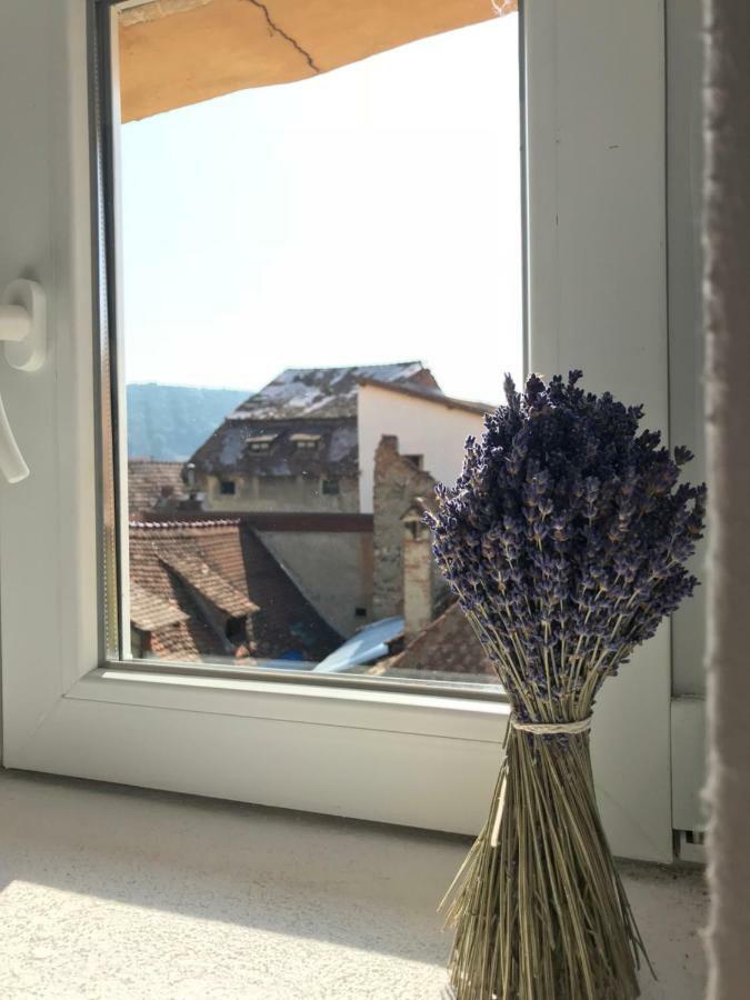 Casa Otto Sighisoara公寓 外观 照片